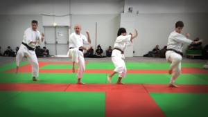 Japan Expo Sud 2015 - ©monacosk.com-04