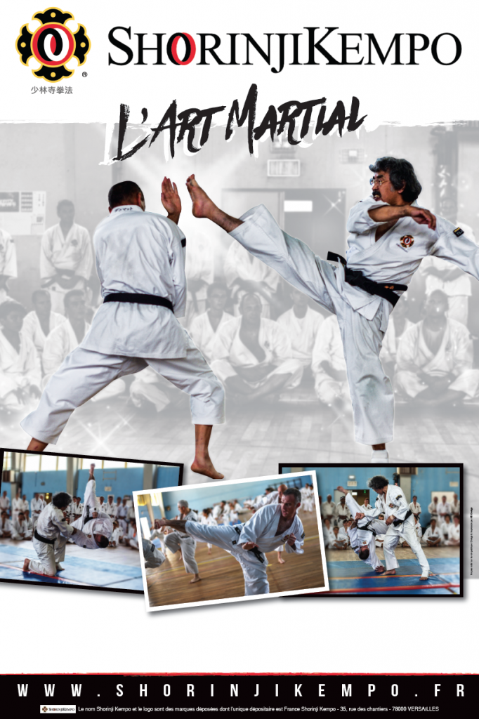 Affiche shorinji kempo 2015