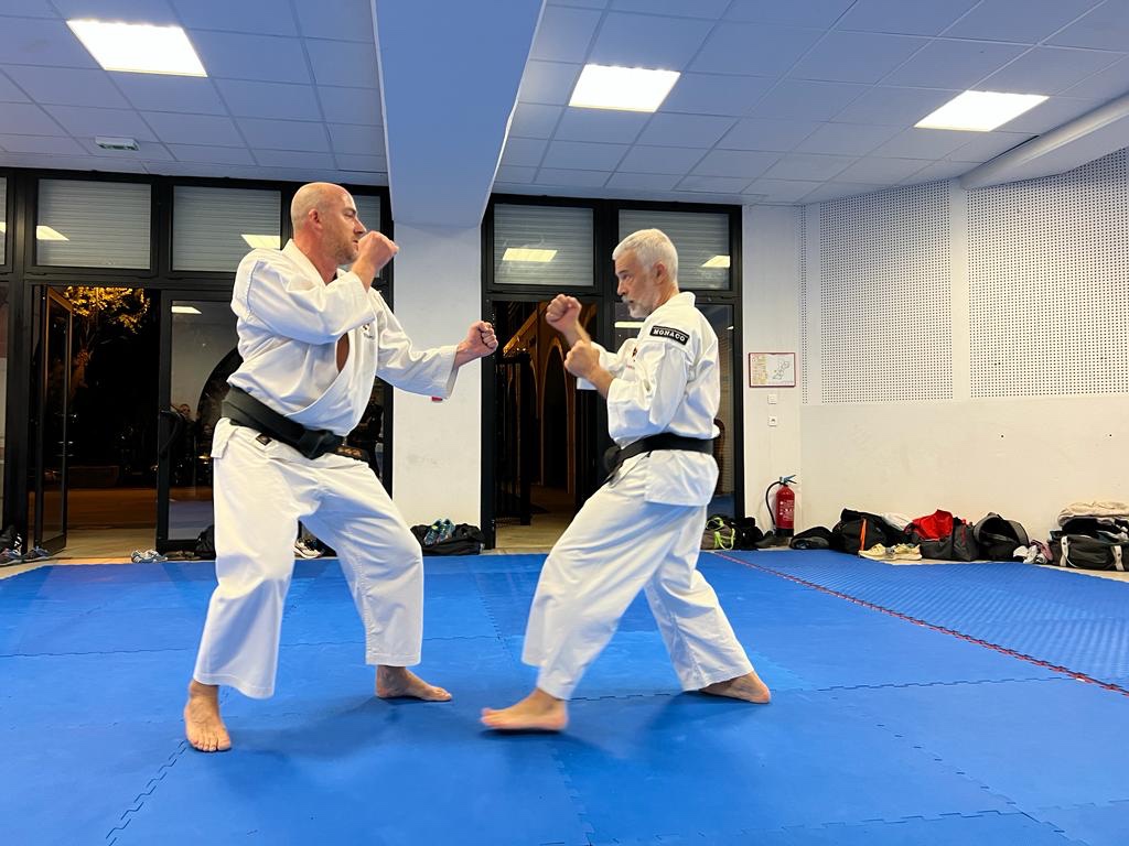 Échange Shorinji Kempo / Viet vo dao